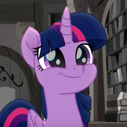 Size: 1080x1080 | Tagged: safe, screencap, twilight sparkle, twilight sparkle (alicorn), alicorn, pony, rainbow roadtrip, book, bookshelf, cropped, cute, female, library, mare, smiling, solo, twiabetes