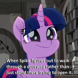 Size: 1024x1024 | Tagged: safe, edit, edited screencap, screencap, twilight sparkle, twilight sparkle (alicorn), alicorn, pony, rainbow roadtrip, book, bookshelf, cropped, cute, female, implied spike, library, mare, smiling, solo, text, twiabetes