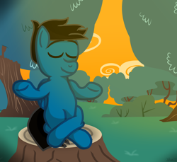 Size: 3600x3300 | Tagged: safe, artist:agkandphotomaker2000, oc, oc:pony video maker, pegasus, pony, evening, forest, lotus position, meditating, tree stump