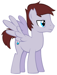 Size: 2291x3035 | Tagged: safe, artist:petraea, oc, pegasus, pony, male, simple background, solo, stallion, transparent background, vector