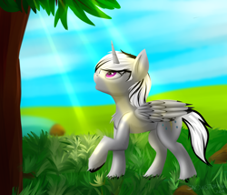 Size: 3500x3000 | Tagged: safe, artist:snowstormbat, oc, oc:dark tempest, alicorn, pony, alicorn oc, grass, male, solo