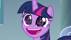 Size: 1920x1080 | Tagged: safe, edit, edited screencap, screencap, twilight sparkle, twilight sparkle (alicorn), alicorn, pony, sparkle's seven, droste effect, eye reflection, faic, forever, fractal, narcissism, pudding face, recursion, reflection, smiling, solo