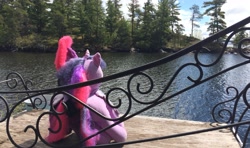 Size: 3264x1926 | Tagged: safe, artist:ejlightning007arts, tempest shadow, twilight sparkle, twilight sparkle (alicorn), alicorn, pony, build-a-bear, chair, cute, female, island, lake, lesbian, merchandise, photography, plushie, shipping, tempestbetes, tempestlight, tree, twiabetes