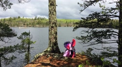 Size: 3264x1805 | Tagged: safe, artist:ejlightning007arts, tempest shadow, twilight sparkle, twilight sparkle (alicorn), alicorn, pony, build-a-bear, cliff, cloud, cloudy, female, island, lake, lesbian, photography, plushie, shipping, tempestlight, tree, water, wing blanket