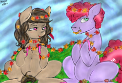 Size: 1130x767 | Tagged: safe, artist:colorlesscupcake, oc, oc:daydream, pony, female, flower, grass, horses doing horse things, male, sitting, straight