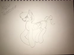 Size: 4032x3024 | Tagged: safe, oc, oc only, pegasus, pony, lineart, photo, pose, solo, traditional art