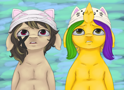 Size: 964x698 | Tagged: safe, artist:colorlesscupcake, oc, oc only, oc:daydream, oc:honeysweet, earth pony, pony, unicorn, hat