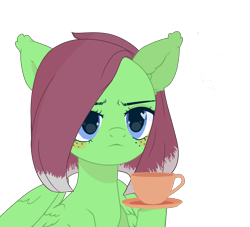 Size: 3290x2992 | Tagged: safe, artist:seona, oc, oc:watermelon success, cup, food, simple background, tea, transparent background