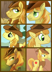 Size: 2369x3264 | Tagged: safe, artist:shawnathepinkrose, derpibooru import, braeburn, pony, simple background