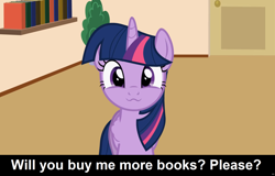Size: 1920x1227 | Tagged: safe, artist:forgalorga, twilight sparkle, twilight sparkle (alicorn), alicorn, pony, :3, book, bookhorse, bookshelf, bronybait, caption, cs captions, cute, female, looking at you, mare, solo, that pony sure does love books, twiabetes, your little pets