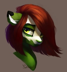 Size: 1074x1169 | Tagged: safe, artist:sofiko-ko, oc, pony, bust, face paint, solo