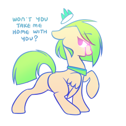 Size: 1000x1000 | Tagged: safe, artist:illiuminc, oc, oc:illium, pegasus, pony, looking at you, looking back, looking back at you, simple background, solo, text, transparent background