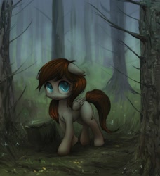 Size: 1416x1550 | Tagged: safe, artist:darkstylerz, oc, oc only, pony, commission, forest, solo