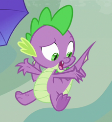 Size: 455x497 | Tagged: safe, screencap, princess ember, spike, dragon, sweet and smoky, claws, cropped, flying, male, offscreen character, raised eyebrow, solo focus, spread wings, toes, underfoot, winged spike, wings