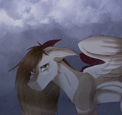 Size: 1856x1741 | Tagged: safe, artist:fluxittu, oc, pegasus, pony, female, mare, rain, solo