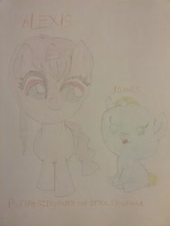 Size: 1944x2592 | Tagged: safe, artist:jaredking203, oc, oc only, oc:alexis chapman, oc:james chapman, pony, unicorn, baby, baby pony, brother and sister, female, filly, male, siblings, traditional art