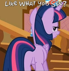 Size: 562x583 | Tagged: safe, edit, edited screencap, screencap, twilight sparkle, twilight sparkle (alicorn), alicorn, pony, the one where pinkie pie knows, butt, caption, cropped, female, i watch it for the plot, image macro, lidded eyes, like what you see?, looking at you, mare, out of context, plot, presenting, sexy, smiling, solo, staircase, stairs, stupid sexy twilight, text, twibutt