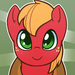 Size: 1000x1000 | Tagged: safe, artist:puetsua, big macintosh, earth pony, pony, abstract background, avatar, bust, looking at you, male, portrait, solo, stallion, younger