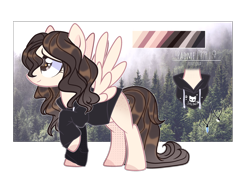 Size: 3528x2508 | Tagged: safe, artist:iheyyasyfox, oc, oc only, oc:padme, pegasus, pony, clothes, female, forest, hoodie, mare, reference sheet, shirt, solo