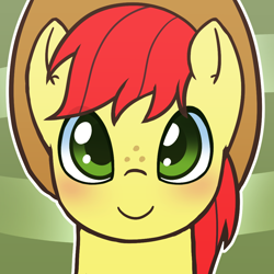 Size: 1000x1000 | Tagged: safe, artist:puetsua, bright mac, earth pony, pony, abstract background, avatar, bust, cowboy hat, freckles, hat, looking at you, male, portrait, solo, stallion