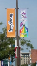 Size: 1836x3264 | Tagged: safe, photographer:lesliepone, pony, banner, bronycon, bronycon mascots, rainbow, united states