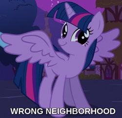 Size: 587x569 | Tagged: safe, edit, edited screencap, screencap, twilight sparkle, twilight sparkle (alicorn), alicorn, pony, magical mystery cure, caption, cropped, faic, female, image macro, mare, smiling, smirk, solo, spread wings, text, twiface, wings, wrong neighborhood