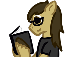 Size: 2000x1500 | Tagged: safe, artist:albinoraynedeer, oc, oc:bay mac, pony, book, clothes, glasses, reading, shirt, t-shirt, unshorn fetlocks