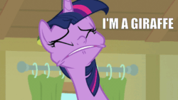 Size: 1280x720 | Tagged: safe, edit, edited screencap, screencap, twilight sparkle, twilight sparkle (alicorn), alicorn, the point of no return, faic, solo, text