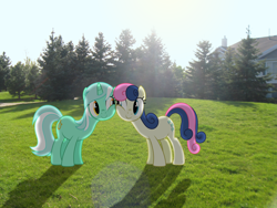 Size: 3072x2304 | Tagged: safe, artist:statoose, bon bon, lyra heartstrings, sweetie drops, earth pony, pony, unicorn, adorabon, cute, female, grass, irl, lesbian, lyrabetes, lyrabon, mare, photo, ponies in real life, shipping, smiling, squishy cheeks, sun, tree