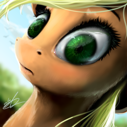 Size: 512x512 | Tagged: safe, artist:thatdreamerarts, derpibooru import, applejack, earth pony, pony, close-up, female, frown, mare, solo