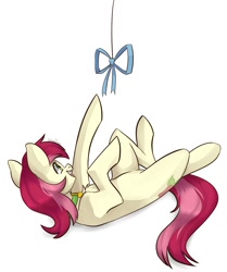 Size: 1161x1392 | Tagged: safe, artist:chibadeer, roseluck, cat pony, earth pony, original species, pony, behaving like a cat, bow, chest fluff, collar, cute, cuteluck, ear fluff, female, fluffy, mare, on back, pet tag, pony pet, rosepet, solo