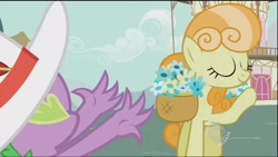 Size: 1920x1080 | Tagged: safe, screencap, junebug, spike, dragon, earth pony, pony, secret of my excess, basket of flowers, eyes closed, female, hat, hub logo, mare, ponyville town hall, raised hoof