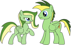 Size: 1118x715 | Tagged: safe, artist:didgereethebrony, oc, oc:boomerang beauty, oc:didgeree, pegasus, pony, bedroom eyes, boomeree, brother and sister, cutie mark, female, male, mare, remake, siblings, simple background, stallion, transparent background