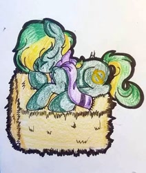 Size: 450x531 | Tagged: dead source, safe, oc, oc:vermont black, earth pony, pony, clothes, hay, hay bale, male, phi, scarf, sleeping, smiling, solo, stallion
