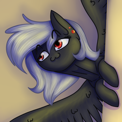 Size: 1500x1500 | Tagged: safe, oc, oc only, oc:luriel maelstrom, pegasus, pony, :3, behind the scenes, cat face, peeking, piercing, raised eyebrows, simple background, smug, stare