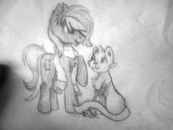 Size: 2048x1536 | Tagged: dead source, safe, artist:tamashihiguchi, oc, oc:beauvoir ferril, oc:vermont black, earth pony, ferret, pony, clothes, coat markings, fursona, looking at each other, male, monochrome, phi, scarf, stallion