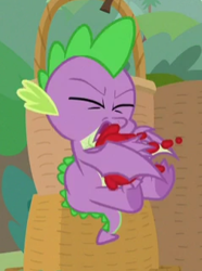 Size: 239x321 | Tagged: safe, screencap, spike, dragon, the point of no return, cropped, food, not blood, out of context, solo, tomato, winged spike