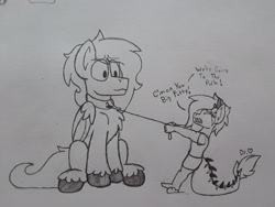 Size: 2576x1932 | Tagged: safe, artist:drheartdoodles, oc, oc:dr.heart, oc:mellow, anthro, dragon, pegasus, pony, anthro with ponies, clydesdale, collar, leash, pony pet, pulling, sitting