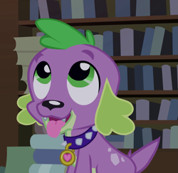 Size: 971x945 | Tagged: safe, screencap, spike, dog, equestria girls, equestria girls (movie), cropped, cute, male, puppy, solo, spikabetes, spike the dog, spike's dog collar