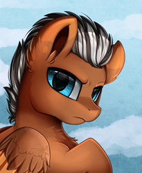 Size: 1446x1764 | Tagged: safe, artist:pridark, oc, oc:apollo, pegasus, pony, bust, chest fluff, commission, looking at you, male, portrait, solo