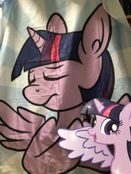 Size: 3024x4032 | Tagged: safe, twilight sparkle, twilight sparkle (alicorn), alicorn, pony, bronycon, bronycon 2019, cardboard cutout, flag, promotional art, solo, standee