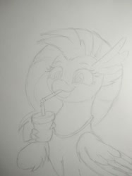 Size: 1280x1707 | Tagged: safe, artist:ljdamz1119, silverstream, classical hippogriff, hippogriff, drink, drinking straw, female, holding, lineart, pencil drawing, simple background, sketch, smiling, solo, traditional art, white background