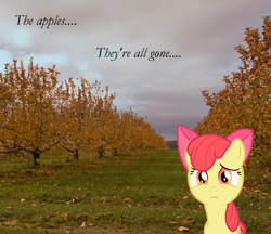 Size: 1733x1500 | Tagged: safe, artist:bryal, apple bloom, earth pony, pony, autumn, cloud, dark clouds, female, filly, irl, photo, ponies in real life, raincloud, sad, sad in hindsight, solo, tree