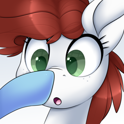 Size: 3000x3000 | Tagged: safe, artist:scarlet-spectrum, oc, oc only, oc:aurora breeze, oc:graph travel, pegasus, pony, :o, boop, female, freckles, mare, open mouth, simple background, surprised