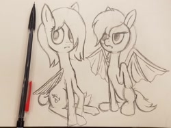 Size: 1471x1103 | Tagged: safe, artist:aeropegasus, oc, oc:pyrnia, oc:salean, bat pony, pony, female, mechanical pencil, sitting, sketch, traditional art