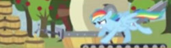 Size: 441x126 | Tagged: safe, artist:egophiliac, derpibooru import, rainbow dash, pegasus, pony, the super speedy cider squeezy 6000, apple tree, barrels, game:the super speedy cider squeezy 6000, low quality, running, solo, treadmill, tree