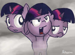 Size: 1200x879 | Tagged: safe, artist:noponyzone, twilight sparkle, unicorn twilight, pony, unicorn, 2012, angry, confused, mist, multiple heads, sad, three heads