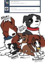 Size: 800x1133 | Tagged: safe, artist:askwinonadog, winona, oc, oc:brandy, oc:buckaroo, oc:naomi, oc:riley, dog, ask, ask winona, ball, cute, family, mouth hold, puppy, simple background, tumblr, white background, younger