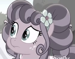 Size: 477x374 | Tagged: safe, screencap, petunia petals, earth pony, pony, rainbow roadtrip, barrette, bust, colorless, cropped, discovery family logo, female, freckles, frown, mare, raised eyebrow, solo