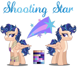 Size: 2550x2200 | Tagged: safe, artist:gihhbloonde, oc, oc:shooting star, pegasus, pony, male, offspring, parent:flash sentry, parent:twilight sparkle, parents:flashlight, reference sheet, simple background, solo, stallion, transparent background